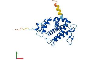 AlphaFold protein structure predicition of Human Recombinant MOB4 Protein, UniprotID Q9Y3A3