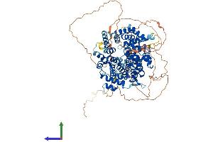 Protein Structure (PS) image for Cyclin F (CCNF) (AA 1-786) protein (His tag) (ABIN7553152)