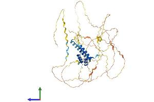 Protein Structure (PS) image for UNC Homeobox (UNCX) (AA 1-531) protein (His tag) (ABIN7544969)