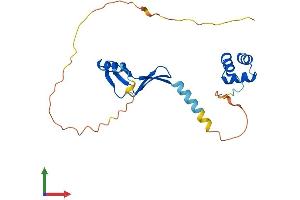 Protein Structure (PS) image for Nascent Polypeptide Associated Complex alpha 1 (NACa1) (AA 1-215) protein (His tag) (ABIN7549683)
