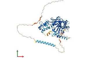 Protein Structure (PS) image for Prolyl 4-Hydroxylase, Transmembrane (Endoplasmic Reticulum) (P4HTM) (AA 1-502) protein (His tag) (ABIN7550404)