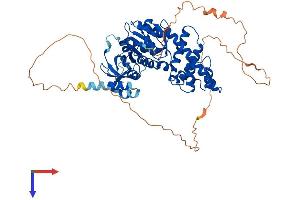 Protein Structure (PS) image for Glyoxylate Reductase 1 Homolog (GLYR1) (AA 1-553) protein (His tag) (ABIN7547996)