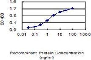 Detection limit for recombinant GST tagged CDH26 is 0. (CDH26 抗体  (AA 1-165))