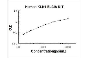 Kallikrein 1 (KLK1) ELISA Kit