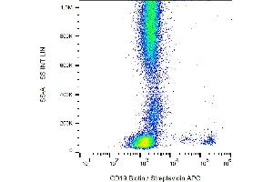 Flow cytometry analysis (surface staining) of human peripheral blood cells with anti-human CD19 (LT19) biotin. (CD19 抗体  (Biotin))