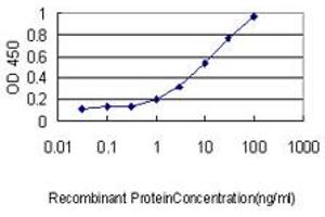Detection limit for recombinant GST tagged RAB4A is approximately 0. (Rab4 抗体  (AA 1-218))