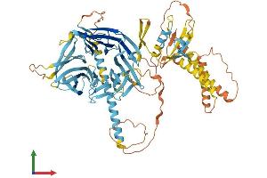 AlphaFold protein structure predicition of Mouse Recombinant Fancb Protein, UniprotID Q5XJY6