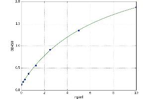 A typical standard curve (ANGPTL1 ELISA 试剂盒)