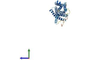 Protein Structure (PS) image for MAS-Related GPR, Member X3 (MRGPRX3) (AA 1-322) protein (His tag) (ABIN7549463)