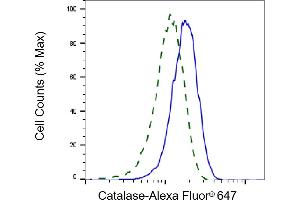 Validation of Catalase knockdown using flow cytometry. (Recombinant Catalase 抗体)