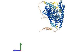 Protein Structure (PS) image for Solute Carrier Family 1 (High Affinity Aspartate/glutamate Transporter), Member 6 (SLC1A6) (AA 1-564) protein (His tag) (ABIN7547268)