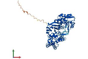 AlphaFold protein structure predicition of Mouse Recombinant Adss1 Protein, UniprotID P28650