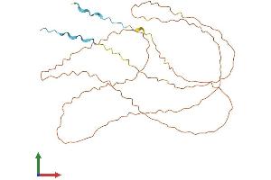 AlphaFold protein structure predicition of Human Recombinant LORICRIN Protein, UniprotID P23490
