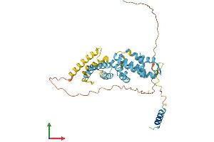 Protein Structure (PS) image for Proteasome (Prosome, Macropain) 26S Subunit, Non-ATPase, 8 (PSMD8) (AA 1-353) protein (His tag) (ABIN7560703)