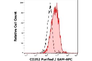Separation of lymphocytes stained using anti-CD352 (hsF6. (SLAMF6 抗体)