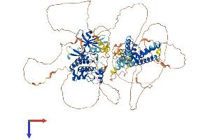 ULK2 Protein (AA 1-1036) (His tag)