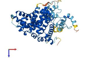 ZMYND10 Protein (AA 1-440) (His tag)