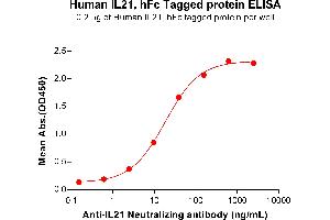 ELISA plate pre-coated by 2 μg/mL (100 μL/well) Human IL21 Protein, hFc Tag (ABIN6964397, ABIN7042851 and ABIN7042852) can bind Anti-IL21 Neutralizing antibody ABIN7478002 and ABIN7490948 in a linear range of 2.