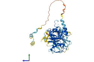 Protein Structure (PS) image for Neutrophil Cytosol Factor 1 (NCF1) (AA 1-390) protein (His tag) (ABIN7556930)
