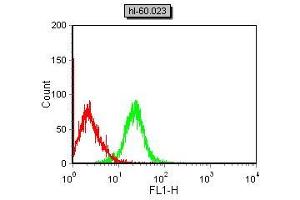 Flow Cytometry (FACS) image for anti-Glycoprotein Ib (Platelet), alpha Polypeptide (GP1BA) (AA 17-183) antibody (ABIN5684108)