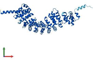 AlphaFold protein structure predicition of Mouse Recombinant Spag6 Protein, UniprotID Q9JLI7 (SPAG6 Protein (AA 1-507) (His tag))