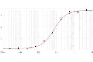 ELISA results of purified Rabbit Anti-Cyclin D3 Antibody tested against BSA-conjugated peptide of cyclin D3 peptide. (Cyclin D3 抗体  (C-Term))