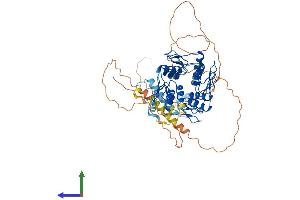Protein Structure (PS) image for Zinc Finger Protein 37 Homolog (ZFP37) (AA 1-630) protein (His tag) (ABIN7545254)