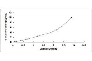 Typical standard curve (Osteoprotegerin ELISA 试剂盒)