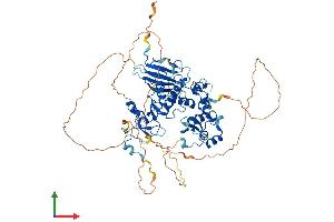 AlphaFold protein structure predicition of Human Recombinant CHFR Protein, UniprotID Q96EP1