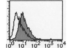 Flow Cytometry (FACS) image for anti-Tumor Necrosis Factor Receptor Superfamily, Member 13B (TNFRSF13B) antibody (ABIN1504149)