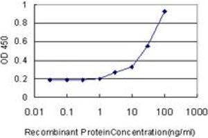 Detection limit for recombinant GST tagged DCN is approximately 1ng/ml as a capture antibody. (Decorin 抗体  (AA 1-359))