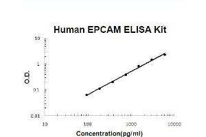 Human EPCAM PicoKine ELISA Kit standard curve (EpCAM ELISA 试剂盒)