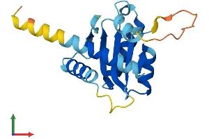 Protein Structure (PS) image for Growth Arrest and DNA-Damage-Inducible, alpha (GADD45A) (AA 1-165) protein (His tag) (ABIN7563308)