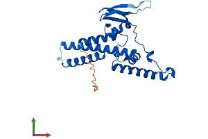 AlphaFold protein structure predicition of Mouse Recombinant Gins4 Protein, UniprotID Q99LZ3