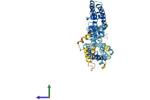 Protein Structure (PS) image for Potassium Voltage-Gated Channel, Subfamily G, Member 3 (KCNG3) (AA 1-436) protein (His tag) (ABIN7548705)