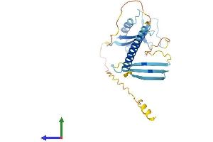 Protein Structure (PS) image for Cell Death-Inducing DFFA-Like Effector C (CIDEC) (AA 1-238) protein (His tag) (ABIN7553498)