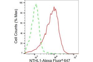 anti-Nth Endonuclease III-Like 1 (NTHL1) antibody