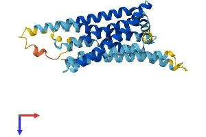 AlphaFold protein structure predicition of Human Recombinant TAS2R8 Protein, UniprotID Q9NYW2