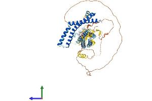 Protein Structure (PS) image for Occludin (OCLN) (AA 1-522) protein (His tag) (ABIN7550066)