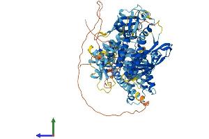 AlphaFold protein structure predicition of Mouse Recombinant Abr Protein, UniprotID Q5SSL4 (ABR Protein (AA 1-859) (His tag))