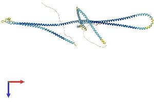 PIBF1 Protein (AA 1-757) (His tag)