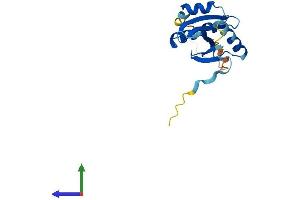 Protein Structure (PS) image for tRNA Splicing Endonuclease 15 Homolog (TSEN15) (AA 1-168) protein (His tag) (ABIN7559749)