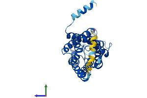 Protein Structure (PS) image for Aquaporin 3 (Gill Blood Group) (AQP3) (AA 1-292) protein (His tag) (ABIN7559698)
