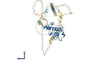 Protein Structure (PS) image for Cell Division Cycle Associated 7-Like (CDCA7L) (AA 1-438) protein (His tag) (ABIN7560231)