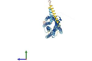 Protein Structure (PS) image for Chemokine Binding Protein 2 (CCBP2) (AA 1-378) protein (His tag) (ABIN7562194)