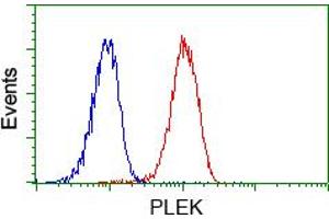 Image no. 1 for anti-Pleckstrin (PLEK) antibody (ABIN1500266) (Pleckstrin 抗体)