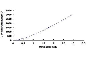 Complement Factor D (CFD) ELISA Kit