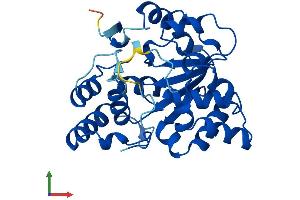Protein Structure (PS) image for Sulfotransferase Family, Cytosolic, 2A, Dehydroepiandrosterone (DHEA)-Preferring, Member 1 (SULT2A1) (AA 1-285) protein (His tag) (ABIN7563422)