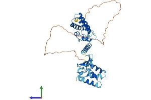 Protein Structure (PS) image for Transcription Elongation Factor A (SII), 3 (TCEA3) (AA 1-348) protein (His tag) (ABIN7544334)