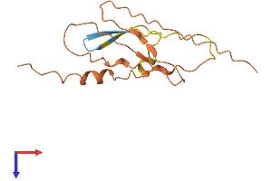 AlphaFold protein structure predicition of Human Recombinant HCP5 Protein, UniprotID Q6MZN7